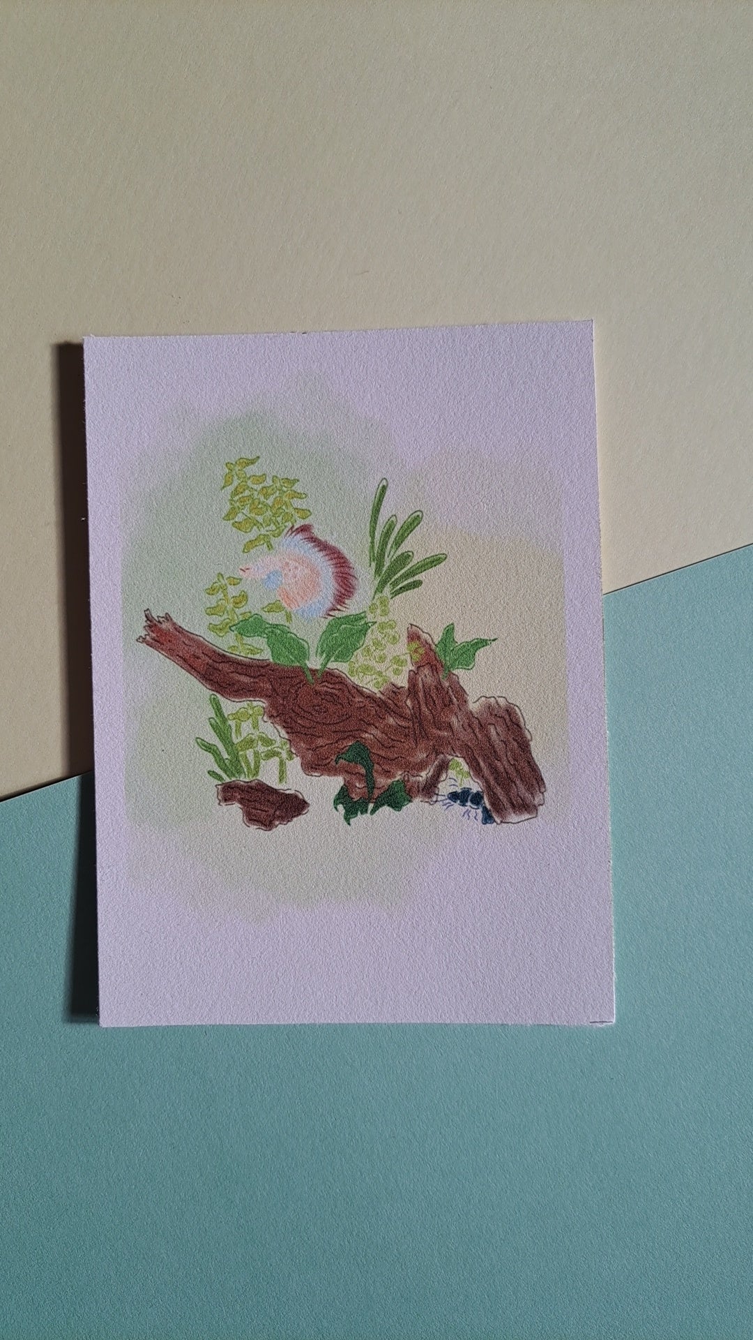 Beta fish tank print