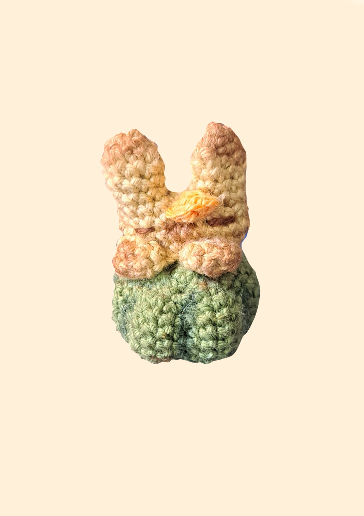 Pumkin Bunny's