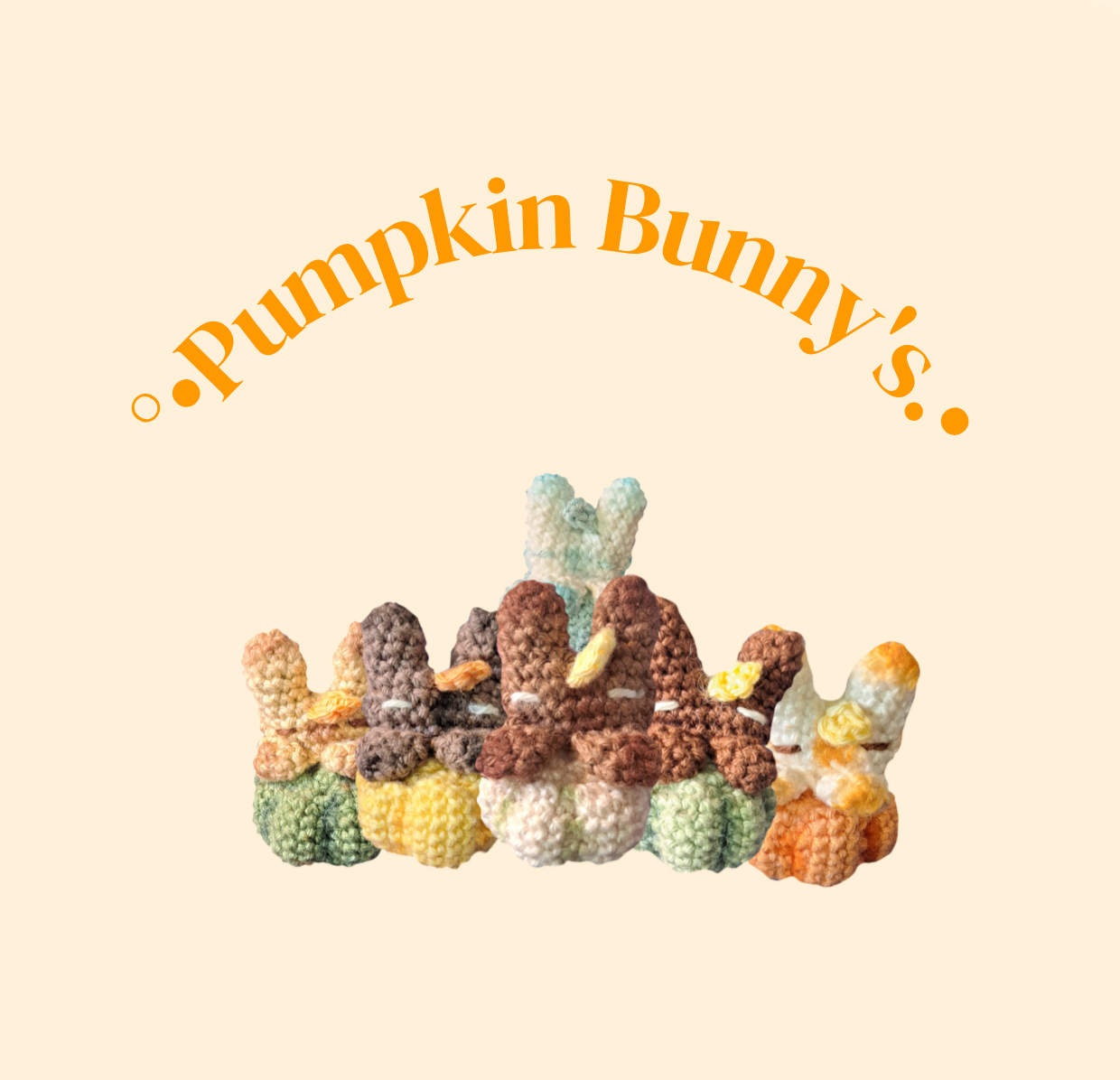 Pumkin Bunny's